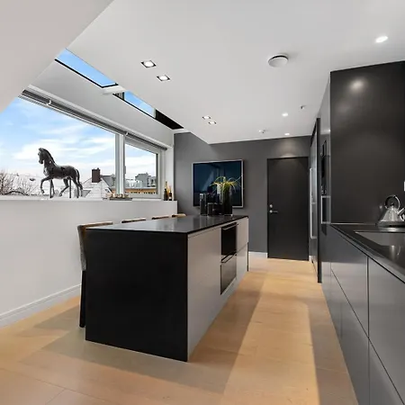 Luxury Penthouse With Rooftop Terrace Apartment